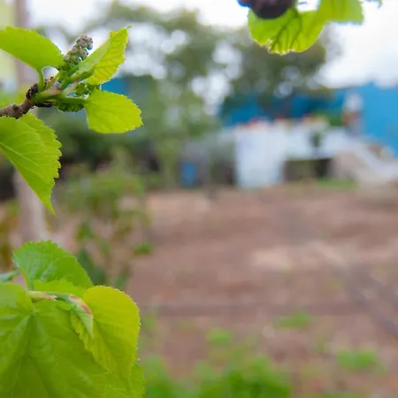 La Huerta De Manuel Holiday home *